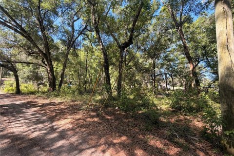 Land in Brooksville, Florida № 2166787 - photo 2
