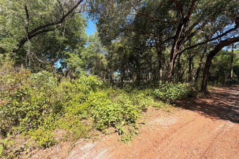 Land in Brooksville, Florida № 2166787
