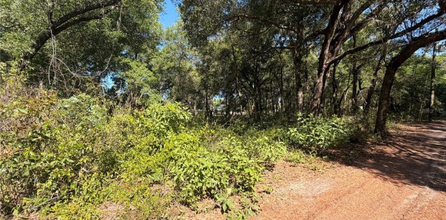 Land in Brooksville, Florida № 2166787