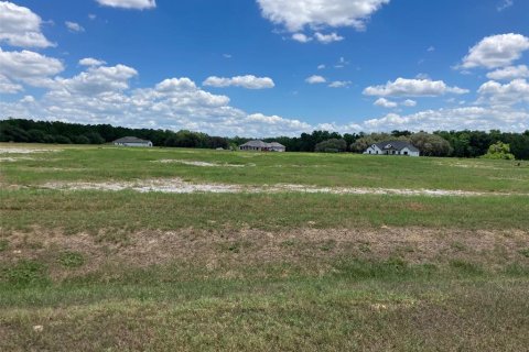 Land in Umatilla, Florida № 2111698