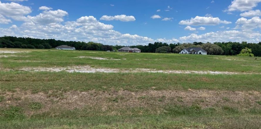 Terreno en Umatilla, Florida № 2111698