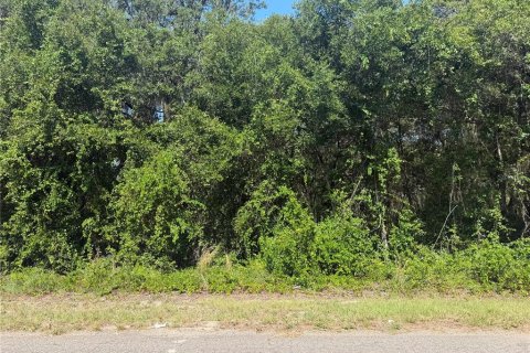 Land in Ocklawaha, Florida № 2203699