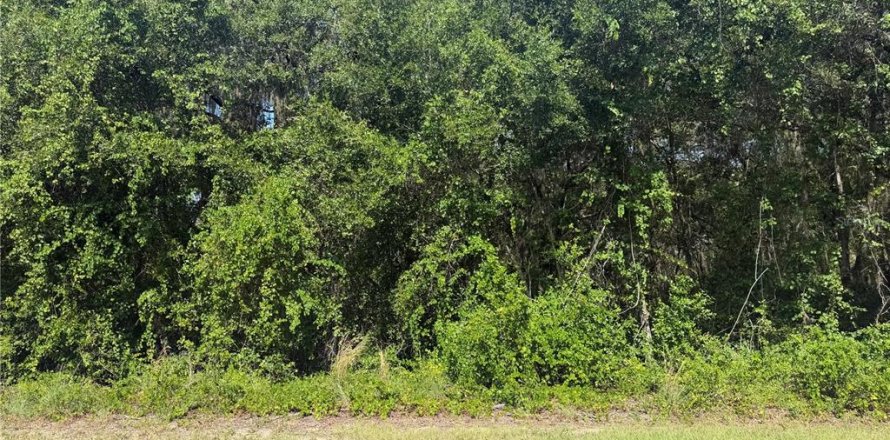 Terrain à Ocklawaha, Floride № 2203699