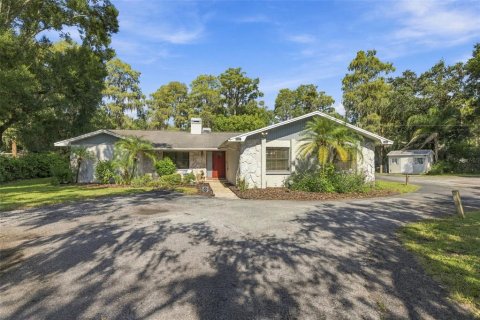 Villa ou maison à vendre à Odessa, Floride: 4 chambres, 213.3 m2 № 2416696 - photo 3