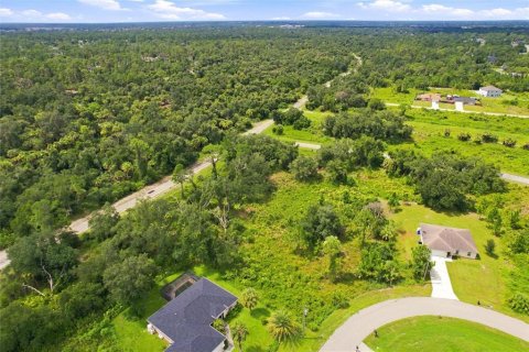 Land in North Port, Florida № 2204225 - photo 6