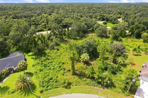 Land in North Port, Florida № 2204225 - photo 2