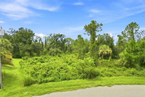 Land in North Port, Florida № 2204225 - photo 8