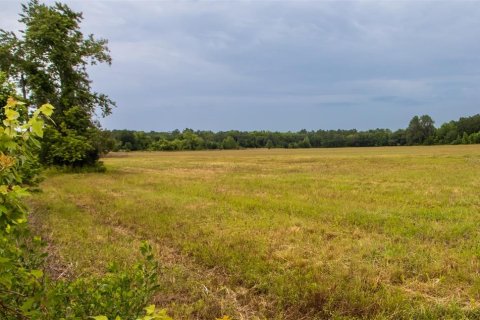 Land in La Crosse, Florida № 1681200 - photo 16