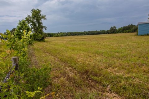 Land in La Crosse, Florida № 1681200 - photo 17