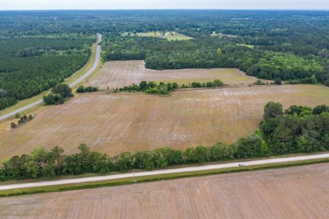 Land in La Crosse, Florida № 1681200 - photo 1