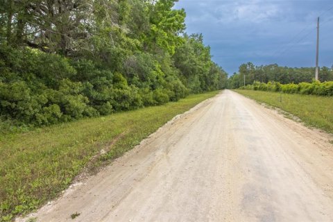 Land in La Crosse, Florida № 1681200 - photo 13