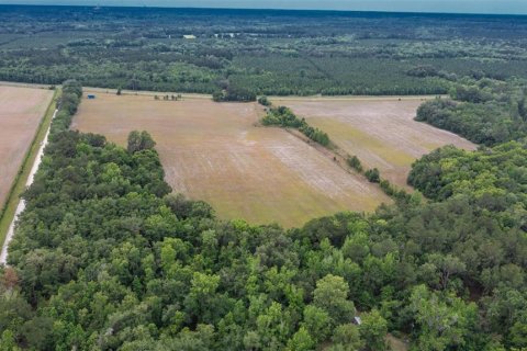 Land in La Crosse, Florida № 1681200 - photo 8