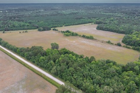 Land in La Crosse, Florida № 1681200 - photo 6