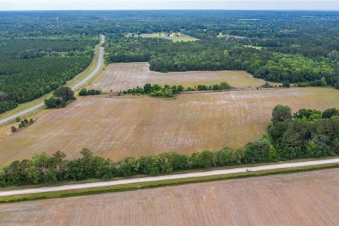 Land in La Crosse, Florida № 1681200 - photo 2