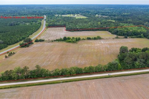 Land in La Crosse, Florida № 1681200 - photo 3