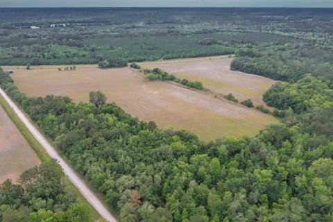 Land in La Crosse, Florida № 1681200 - photo 7