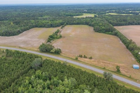 Land in La Crosse, Florida № 1681200 - photo 12
