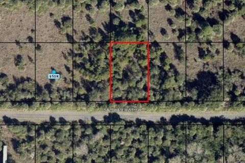 Land in Palm Bay, Florida № 2364470