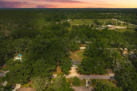 House in Bell, Florida 2 bedrooms, 138.98 sq.m. № 1740463 - photo 28