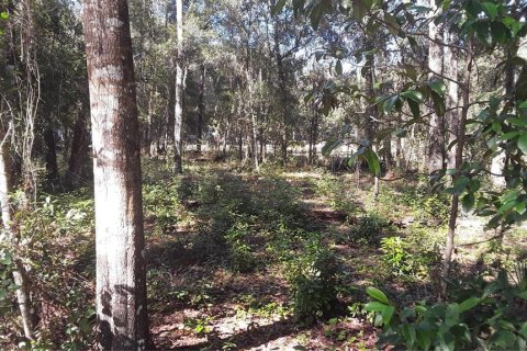 Земельный участок в Уматилла, Флорида № 2214831