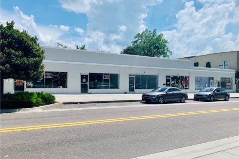 Commercial property in Leesburg, Florida 741.92 sq.m. № 2277043