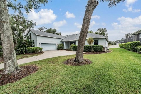 House in Brandon, Florida 4 bedrooms, 341.51 sq.m. № 1816777 - photo 4
