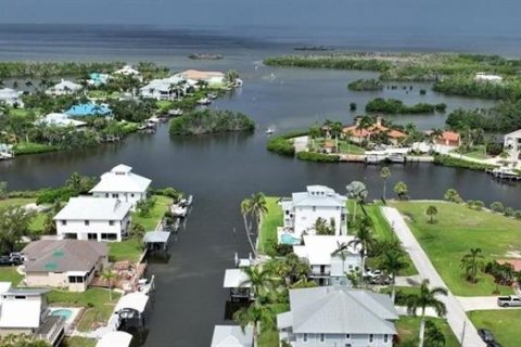 Land in Punta Gorda, Florida № 2165228 - photo 8