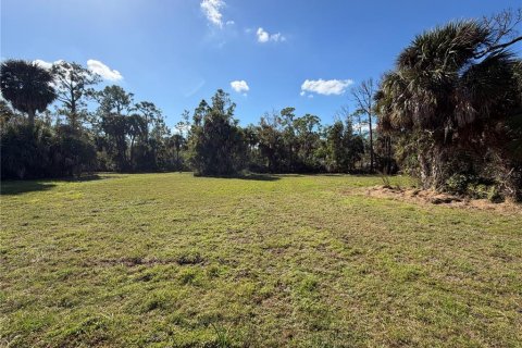 Land in Punta Gorda, Florida № 2165228