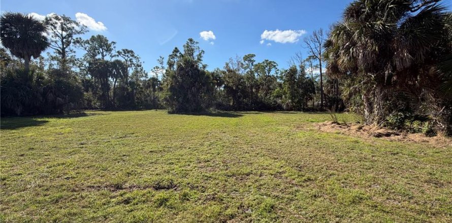 Land in Punta Gorda, Florida № 2165228