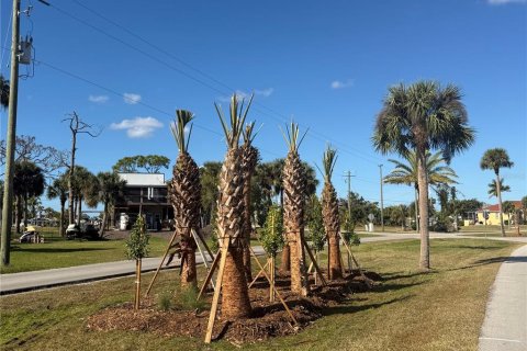 Land in Punta Gorda, Florida № 2165228 - photo 13