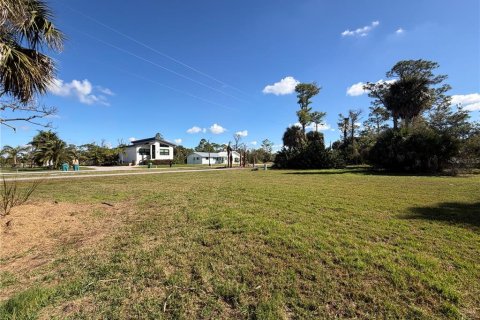 Land in Punta Gorda, Florida № 2165228 - photo 3