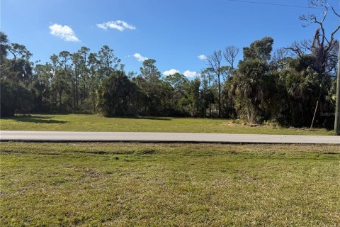 Land in Punta Gorda, Florida № 2165228 - photo 6