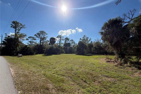 Land in Punta Gorda, Florida № 2165228 - photo 4