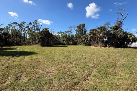 Land in Punta Gorda, Florida № 2165228 - photo 2