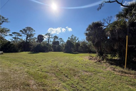 Land in Punta Gorda, Florida № 2165228 - photo 5
