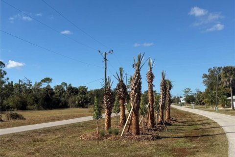 Land in Punta Gorda, Florida № 2165228 - photo 12