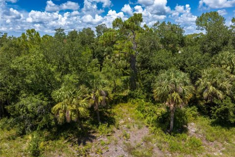 Land in North Port, Florida № 1894518 - photo 11
