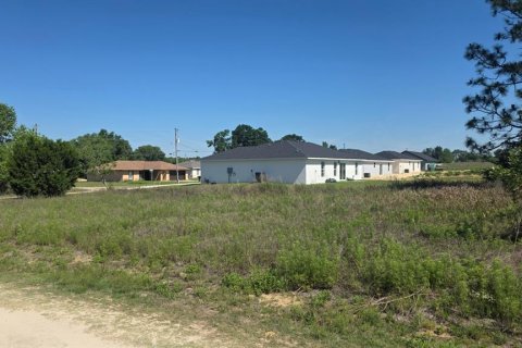 Land in Ocala, Florida № 2214795 - photo 11