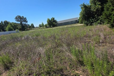 Land in Ocala, Florida № 2214795 - photo 3