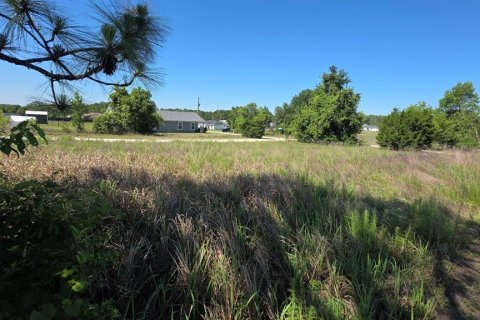 Land in Ocala, Florida № 2214795 - photo 8