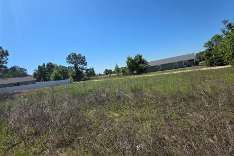 Land in Ocala, Florida № 2214795 - photo 2