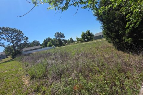 Land in Ocala, Florida № 2214795 - photo 5