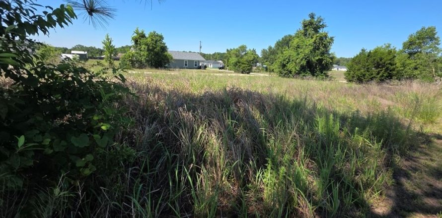 Land in Ocala, Florida № 2214795