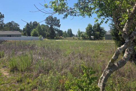 Land in Ocala, Florida № 2214795 - photo 4