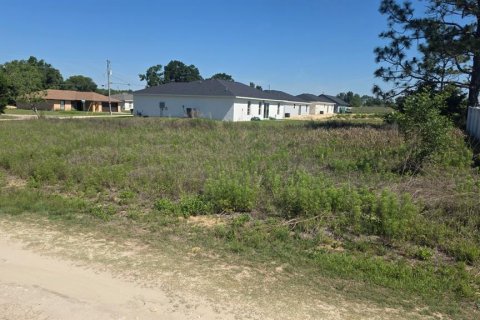 Land in Ocala, Florida № 2214795 - photo 7