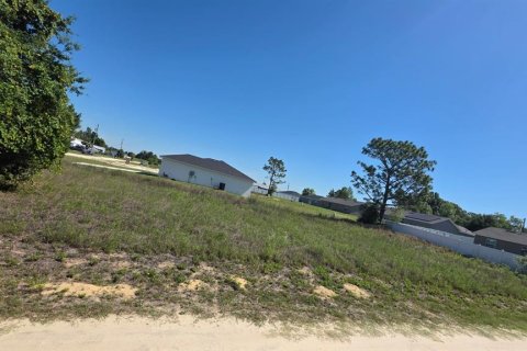 Land in Ocala, Florida № 2214795 - photo 9