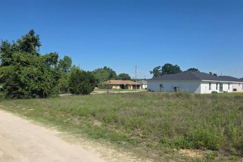 Land in Ocala, Florida № 2214795 - photo 6