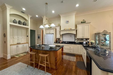 Villa ou maison à louer à Micanopy, Floride: 4 chambres, 403.66 m2 № 2136469 - photo 21