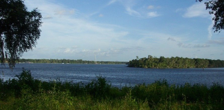 Commercial property in East Palatka, Florida № 765346