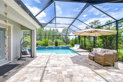 House in New Port Richey, Florida 5 bedrooms, 362.32 sq.m. № 1846484 - photo 28